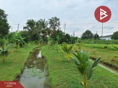 ขายบ้านเดี่ยวพร้อมที่ดิน เนื้อที่ 2 ไร่ 3 งาน 3.7 ตร.วา ปากท่อ ราชบุรี-202511071642511762508571735.jpg