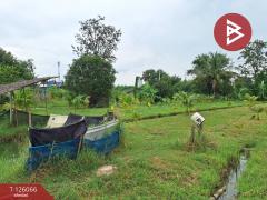 ขายบ้านเดี่ยวพร้อมที่ดิน เนื้อที่ 2 ไร่ 3 งาน 3.7 ตร.วา ปากท่อ ราชบุรี-202511071642521762508572267.jpg