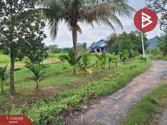 ขายบ้านเดี่ยวพร้อมที่ดิน เนื้อที่ 2 ไร่ 3 งาน 3.7 ตร.วา ปากท่อ ราชบุรี-202511071642521762508572803.jpg