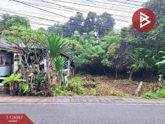 ขายที่ดิน เนื้อที่ 1 งาน 96 ตร.วา บ้านจั่น อุดรธานี-202511071659491762509589754.jpg