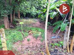 ขายที่ดิน เนื้อที่ 1 งาน 96 ตร.วา บ้านจั่น อุดรธานี-202511071659501762509590846.jpg