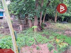 ขายที่ดิน เนื้อที่ 1 งาน 96 ตร.วา บ้านจั่น อุดรธานี-202511071659511762509591393.jpg