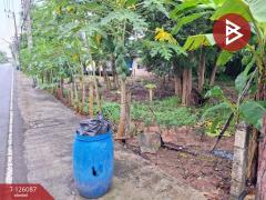 ขายที่ดิน เนื้อที่ 1 งาน 96 ตร.วา บ้านจั่น อุดรธานี-202511071659521762509592587.jpg