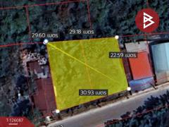 ขายที่ดิน เนื้อที่ 1 งาน 96 ตร.วา บ้านจั่น อุดรธานี-202511071659541762509594245.jpg