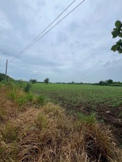 ถูกสุดในย่านนี้!! แบ่งขายที่ดินติดถนน 5-10 ไร่ วิวภูเขา อ.วังม่วง จ.สระบุรี ใกล้ตัวเมืองวังม่วง เขื่อนป่าสักฯ อ่างเก็บน้ำมวกเหล็ก-202511072321071762532467788.jpg