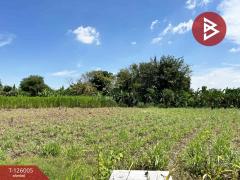 ขายที่ดิน-เนื้อที่-2-ไร่-2-งาน-86-ตร.วา-กำ