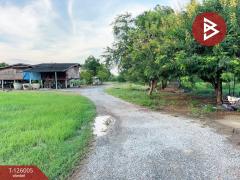 ขายที่ดิน เนื้อที่ 2 ไร่ 2 งาน 86 ตร.วา กำแพงแสน นครปฐม-202511080902411762567361638.jpg