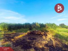 ขายที่ดิน เนื้อที่ 2 ไร่ 2 งาน 86 ตร.วา กำแพงแสน นครปฐม-202511080902421762567362922.jpg