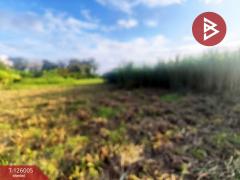 ขายที่ดิน เนื้อที่ 2 ไร่ 2 งาน 86 ตร.วา กำแพงแสน นครปฐม-202511080902431762567363453.jpg