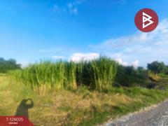 ขายที่ดิน เนื้อที่ 2 ไร่ 2 งาน 86 ตร.วา กำแพงแสน นครปฐม-202511080902431762567363977.jpg