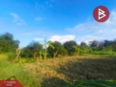 ขายที่ดิน เนื้อที่ 2 ไร่ 2 งาน 86 ตร.วา กำแพงแสน นครปฐม-202511080902441762567364502.jpg