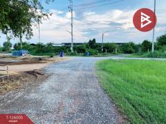 ขายที่ดิน เนื้อที่ 2 ไร่ 2 งาน 86 ตร.วา กำแพงแสน นครปฐม-202511080902461762567366009.jpg