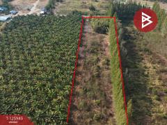 ขายที่ดิน เนื้อที่ 13 ไร่ 2 งาน 72.3 ตร.วา สอยดาว จันทบุรี