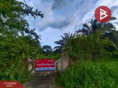 ขายที่ดิน เนื้อที่ 13 ไร่ 2 งาน 72.3 ตร.วา สอยดาว จันทบุรี-202511080932211762569141846.jpg