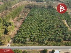 ขายที่ดิน เนื้อที่ 13 ไร่ 2 งาน 72.3 ตร.วา สอยดาว จันทบุรี-202511080932221762569142967.jpg