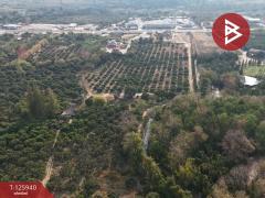 ขายที่ดิน เนื้อที่ 13 ไร่ 2 งาน 72.3 ตร.วา สอยดาว จันทบุรี-202511080932241762569144642.jpg