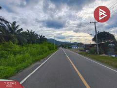 ขายที่ดิน เนื้อที่ 13 ไร่ 2 งาน 72.3 ตร.วา สอยดาว จันทบุรี-202511080932271762569147421.jpg