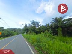 ขายที่ดิน เนื้อที่ 13 ไร่ 2 งาน 72.3 ตร.วา สอยดาว จันทบุรี-202511080932271762569147974.jpg