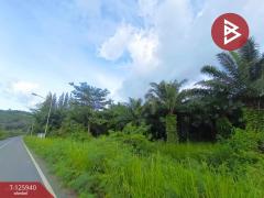 ขายที่ดิน เนื้อที่ 13 ไร่ 2 งาน 72.3 ตร.วา สอยดาว จันทบุรี-202511080932281762569148523.jpg