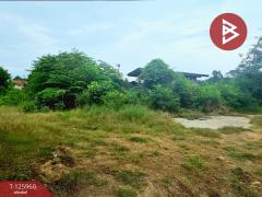 ขายที่ดิน เนื้อที่ 2 ไร่ 5 ตร.วา เสาไห้ สระบุรี