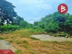 ขายที่ดิน เนื้อที่ 2 ไร่ 5 ตร.วา เสาไห้ สระบุรี-202511081112061762575126426.jpg