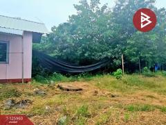 ขายที่ดิน เนื้อที่ 2 ไร่ 5 ตร.วา เสาไห้ สระบุรี-202511081112071762575127590.jpg