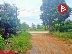 ขายที่ดิน เนื้อที่ 2 ไร่ 5 ตร.วา เสาไห้ สระบุรี-202511081112081762575128135.jpg