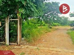 ขายที่ดิน เนื้อที่ 2 ไร่ 5 ตร.วา เสาไห้ สระบุรี-202511081112081762575128676.jpg