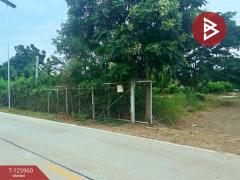 ขายที่ดิน เนื้อที่ 2 ไร่ 5 ตร.วา เสาไห้ สระบุรี-202511081112091762575129221.jpg