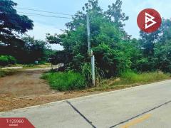 ขายที่ดิน เนื้อที่ 2 ไร่ 5 ตร.วา เสาไห้ สระบุรี-202511081112091762575129758.jpg