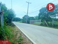 ขายที่ดิน เนื้อที่ 2 ไร่ 5 ตร.วา เสาไห้ สระบุรี-202511081112101762575130298.jpg
