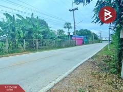 ขายที่ดิน เนื้อที่ 2 ไร่ 5 ตร.วา เสาไห้ สระบุรี-202511081112101762575130838.jpg