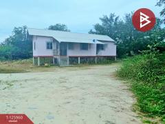 ขายที่ดิน เนื้อที่ 2 ไร่ 5 ตร.วา เสาไห้ สระบุรี-202511081112121762575132439.jpg