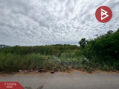 ขายที่ดิน-เนื้อที่-1-ไร่-2-งาน-38-ตร.วา-หน