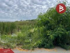 ขายที่ดิน เนื้อที่ 1 ไร่ 2 งาน 38 ตร.วา หนองจอก กรุงเทพมหานคร-202511081224391762579479362.jpg