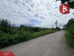 ขายที่ดิน เนื้อที่ 1 ไร่ 2 งาน 38 ตร.วา หนองจอก กรุงเทพมหานคร-202511081224401762579480447.jpg