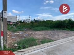 ขายที่ดิน เนื้อที่ 1 งาน บางพลี สมุทรปราการ-202511081251421762581102109.jpg