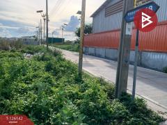 ขายที่ดิน เนื้อที่ 1 งาน บางพลี สมุทรปราการ-202511081251431762581103200.jpg