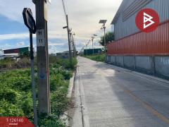 ขายที่ดินถมแล้ว เนื้อที่ 1 งาน บางพลี สมุทรปราการ-202511081324261762583066421.jpg