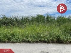 ขายที่ดิน-เนื้อที่-1-ไร่-2-งาน-75-ตร.วา-มี