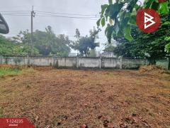 ขายที่ดิน เนื้อที่ 1 งาน 49.5 ตร.วา สะพานสูง กรุงเทพมหานคร-202511081604061762592646063.jpg