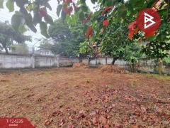 ขายที่ดิน เนื้อที่ 1 งาน 49.5 ตร.วา สะพานสูง กรุงเทพมหานคร-202511081604081762592648307.jpg