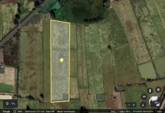 ขายถูกมาก!! ที่ดิน 9 ไร่ 6 ตร.ว. อ.เชียงขวัญ จ.ร้อยเอ็ด ใกล้สนามบินร้อยเอ็ด รพ.เชียงขวัญ ใกล้ตัวเมืองร้อยเอ็ด 18 กม.-202511081704091762596249761.jpg