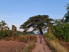 มูลค่าทวีเพิ่มพูนทรัพย์ในดิน ที่ติดแม่น้ำโขง ต.กุดบง อ.โพนพิสัย จ.หนองคาย  หลังติดแม่น้ำโขง ไร่ละ 2ล้านบาท โทร 096-882-1857