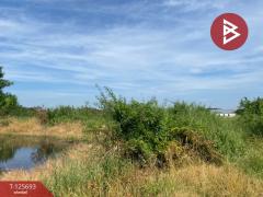 ขายที่ดิน เนื้อที่ 3 งาน 97 ตร.วา บางใหญ่ นนทบุรี-202511090929301762655370600.jpg