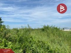 ขายที่ดิน เนื้อที่ 3 งาน 97 ตร.วา บางใหญ่ นนทบุรี-202511090929311762655371143.jpg