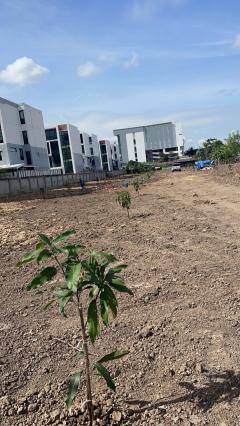 เช่า/ขายที่ดิน 4 ไร่ เศษ กิ่งแก้วซอย 19 ทำเลดี ใกล้ถนนใหญ่กิ่งแก้ว 8 เลน 200ม. สมุทรปราการ (ที่ดินสีแดง) โทร 081-8017208-202511090952481762656768753.jpg