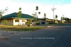 ขายโรงงานพร้อมสวนป่าเบญพรรณอายุ 24 ปี จังหวัดระยอง รวมพื้นที่กว่า 101 ไร่ เหมาะสำหรับนักลงทุนที่มองหาทรัพย์สินพร้อมใช้งาน