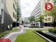 ขายคอนโด เอลลิโอ สุขุมวิท64 (Elio Sukhumvit64) กรุงเทพฯ พร้อมเข้าอยู่-202511091154231762664063431.jpg