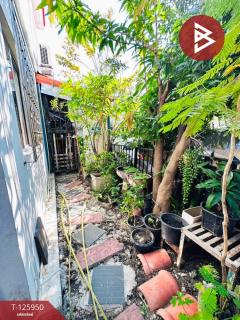 ขายทาวน์เฮ้าส์ หมู่บ้านพฤกษา77/2 สุขสวัสดิ์-กาญจนาภิเษก พระสมุทรเจดีย์ สมุทรปราการ-202511091234541762666494647.jpg